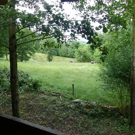 La Céleste, Privé Tendon