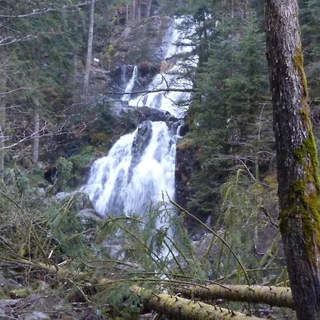 La Céleste, Privé * Tendon