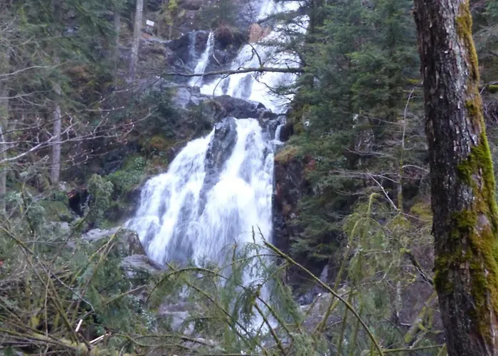 La Celeste, Prive * Tendon